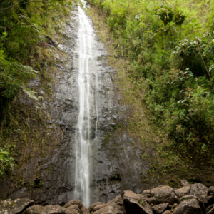 Manoa Falls Waterfall Oahu