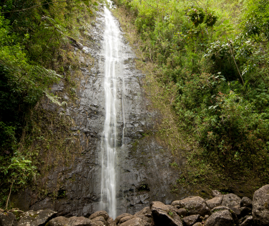 Manoa Falls Waterfall Oahu