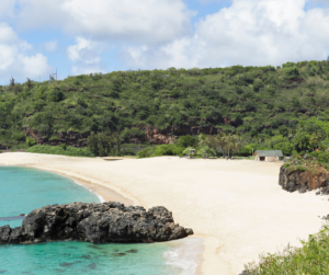 Waimea North Shore