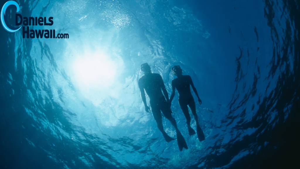 Snorkeling Beginners Oahu